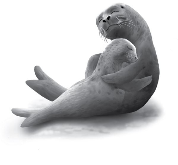 Иллюстрация к книге — Последний огнеястреб. Хрустальные гроты [i_081.jpg]