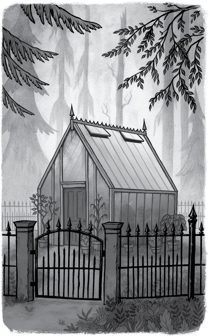 Иллюстрация к книге — Ночные кошмары! Забытая колыбельная [i_011.jpg]