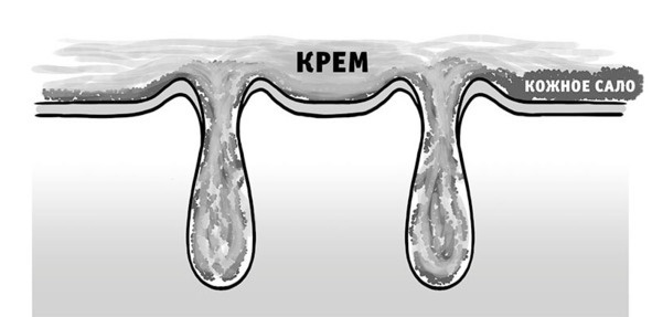 Иллюстрация к книге — Бьютилогия. Наука о красоте для тех, кто знал, но забыл [_8.jpg]