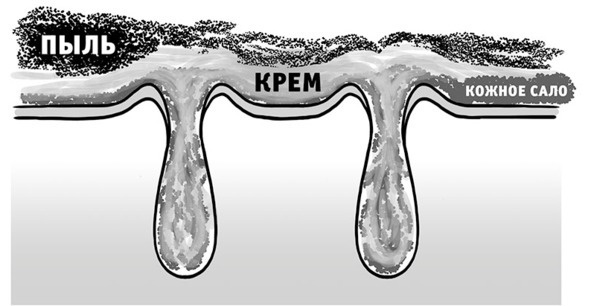 Иллюстрация к книге — Бьютилогия. Наука о красоте для тех, кто знал, но забыл [_9.jpg]