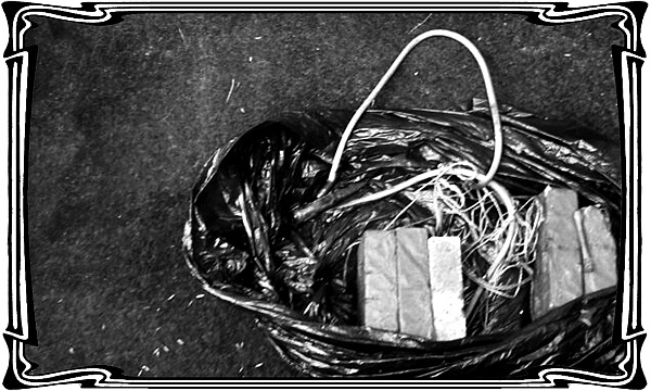 Иллюстрация к книге — Катакомбы военного спуска [i_005.jpg]