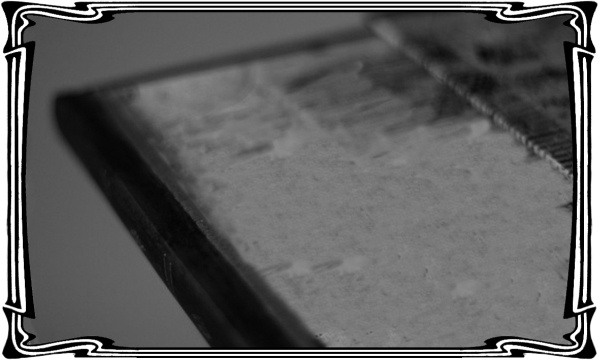 Иллюстрация к книге — Катакомбы военного спуска [i_025.jpg]