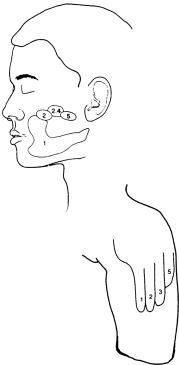 Иллюстрация к книге — Фантомы мозга [i_005.jpg]