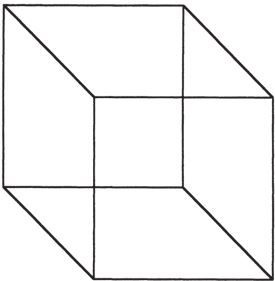 Иллюстрация к книге — Фантомы мозга [i_007.jpg]