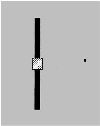 Иллюстрация к книге — Фантомы мозга [i_015.jpg]