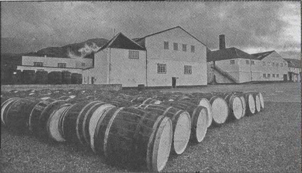 Иллюстрация к книге — Шотландия. Мистическая страна кельтов и друидов [image115.jpg]