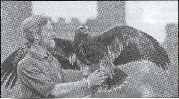 Иллюстрация к книге — Шотландия. Мистическая страна кельтов и друидов [image119.jpg]