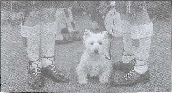 Иллюстрация к книге — Шотландия. Мистическая страна кельтов и друидов [image125.jpg]