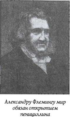 Иллюстрация к книге — Шотландия. Мистическая страна кельтов и друидов [image140.jpg]