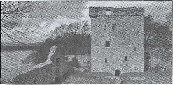 Иллюстрация к книге — Шотландия. Мистическая страна кельтов и друидов [image98.jpg]