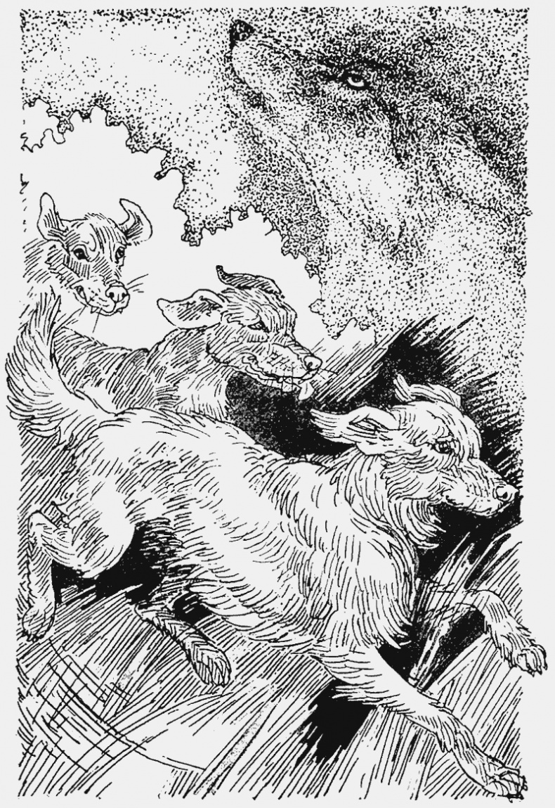 Иллюстрация к книге — Тайный враг [i_001.jpg]