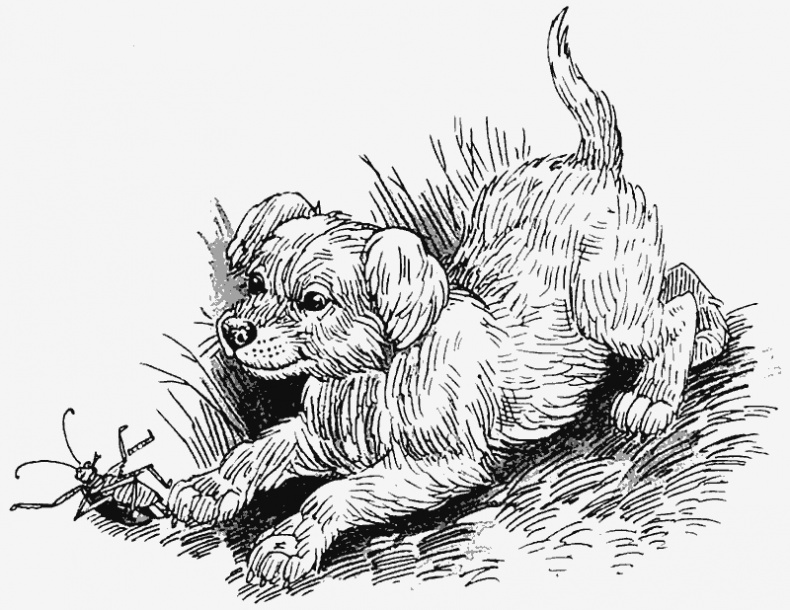 Иллюстрация к книге — Тайный враг [i_002.jpg]