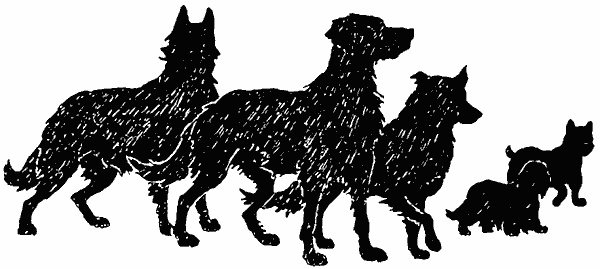 Иллюстрация к книге — Тайный враг [i_004.jpg]