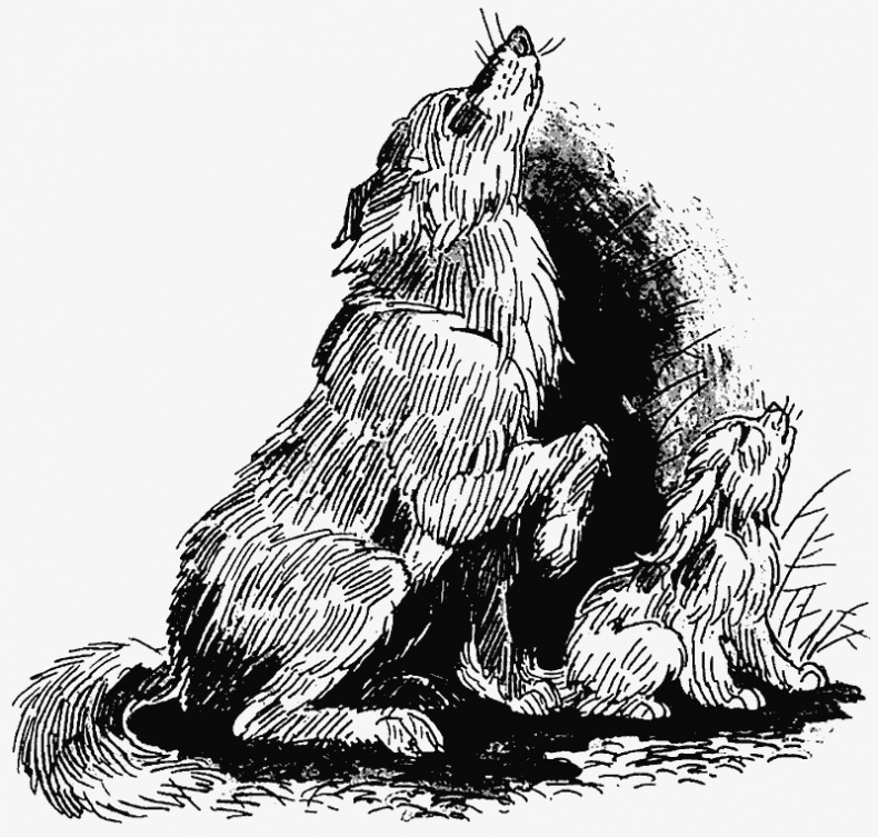 Иллюстрация к книге — Тайный враг [i_006.jpg]