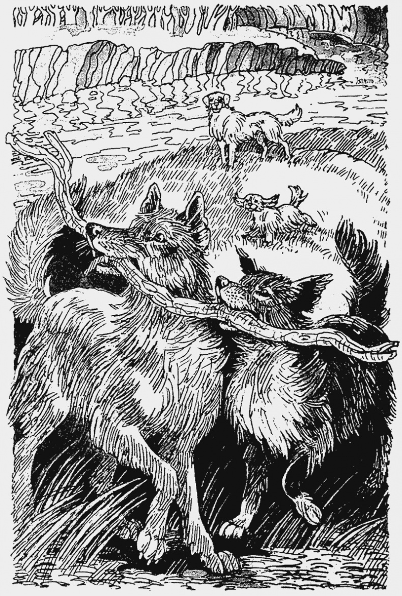 Иллюстрация к книге — Тайный враг [i_007.jpg]