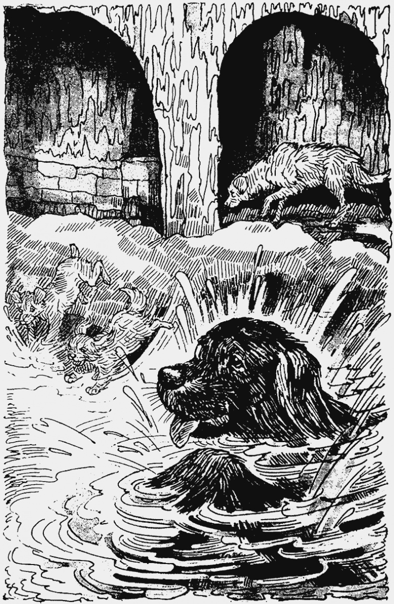 Иллюстрация к книге — Тайный враг [i_009.jpg]