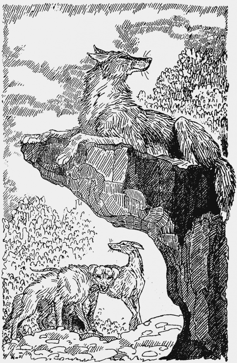 Иллюстрация к книге — Тайный враг [i_011.jpg]