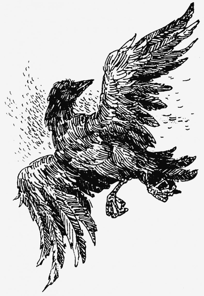 Иллюстрация к книге — Тайный враг [i_012.jpg]