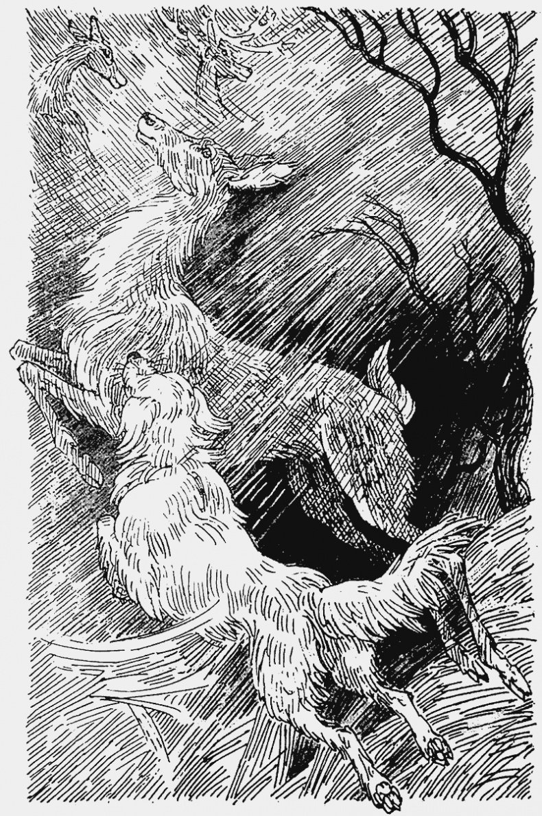 Иллюстрация к книге — Тайный враг [i_013.jpg]