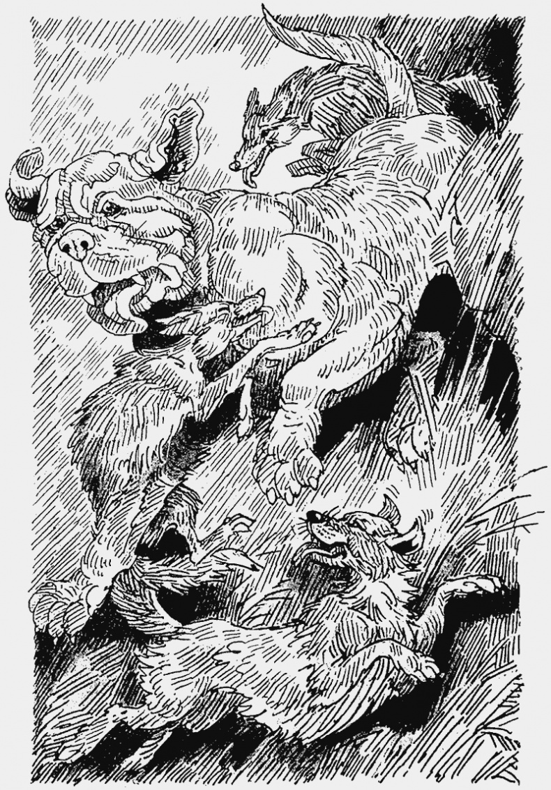 Иллюстрация к книге — Тайный враг [i_017.jpg]