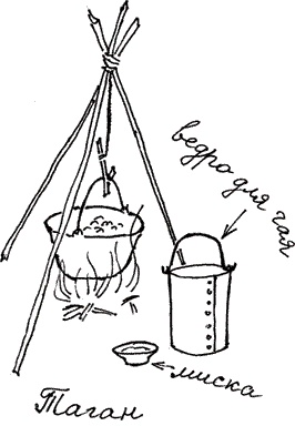 Иллюстрация к книге — Земля Обручева, или Невероятные приключения Димы Ручейкова [i_028.jpg]