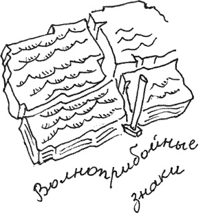 Иллюстрация к книге — Земля Обручева, или Невероятные приключения Димы Ручейкова [i_042.jpg]