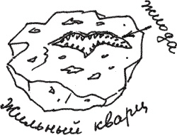 Иллюстрация к книге — Земля Обручева, или Невероятные приключения Димы Ручейкова [i_045.jpg]