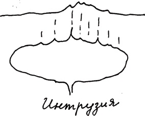 Иллюстрация к книге — Земля Обручева, или Невероятные приключения Димы Ручейкова [i_055.jpg]