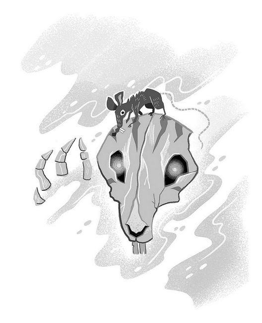 Иллюстрация к книге — Чудовище из озера [i_021.jpg]