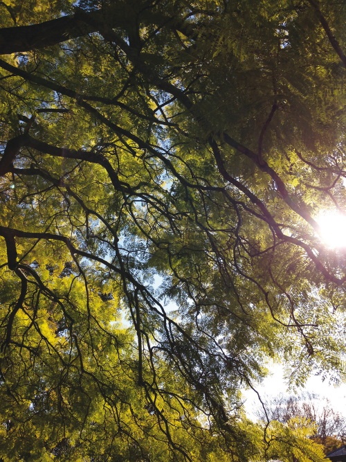 Иллюстрация к книге — Жить не спеша [i_016.jpg]