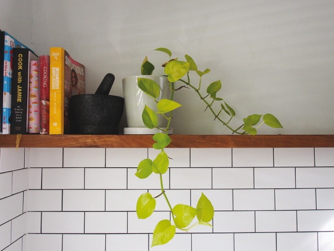 Иллюстрация к книге — Жить не спеша [i_017.jpg]