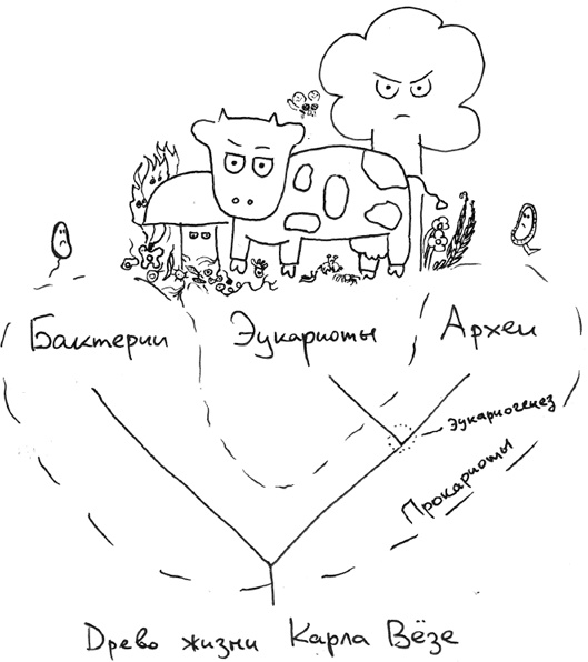 Иллюстрация к книге — Хлопок одной ладонью [i_027.jpg]