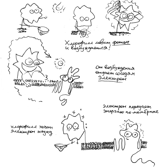 Иллюстрация к книге — Хлопок одной ладонью [i_029.jpg]