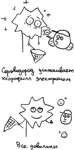 Иллюстрация к книге — Хлопок одной ладонью [i_034.jpg]