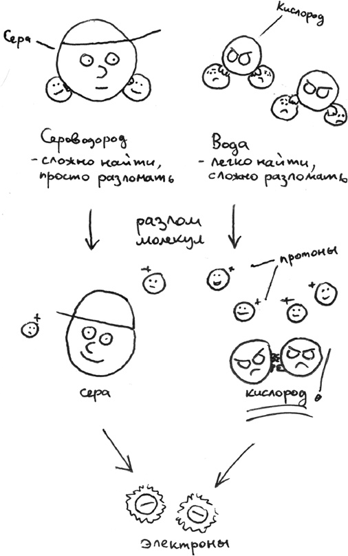 Иллюстрация к книге — Хлопок одной ладонью [i_035.jpg]