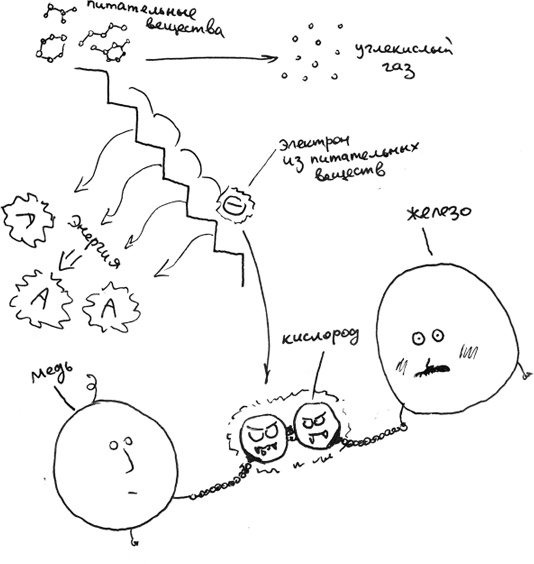 Иллюстрация к книге — Хлопок одной ладонью [i_037.jpg]