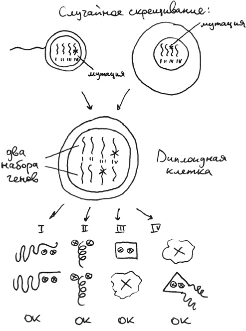 Иллюстрация к книге — Хлопок одной ладонью [i_041.jpg]