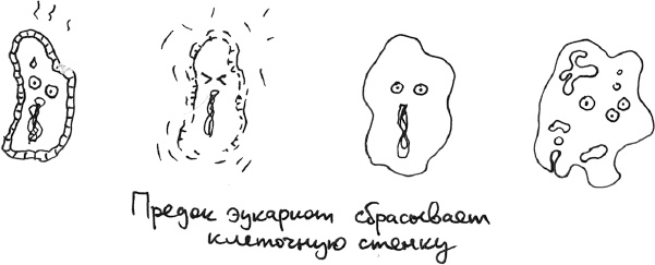 Иллюстрация к книге — Хлопок одной ладонью [i_043.jpg]