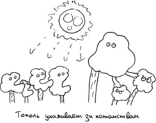 Иллюстрация к книге — Хлопок одной ладонью [i_045.jpg]