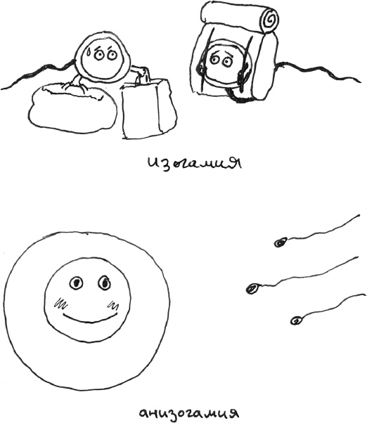 Иллюстрация к книге — Хлопок одной ладонью [i_046.jpg]