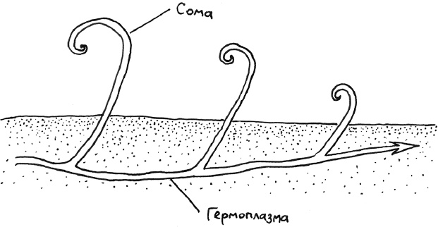 Иллюстрация к книге — Хлопок одной ладонью [i_048.jpg]