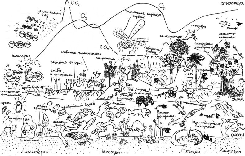 Иллюстрация к книге — Хлопок одной ладонью [i_051.jpg]