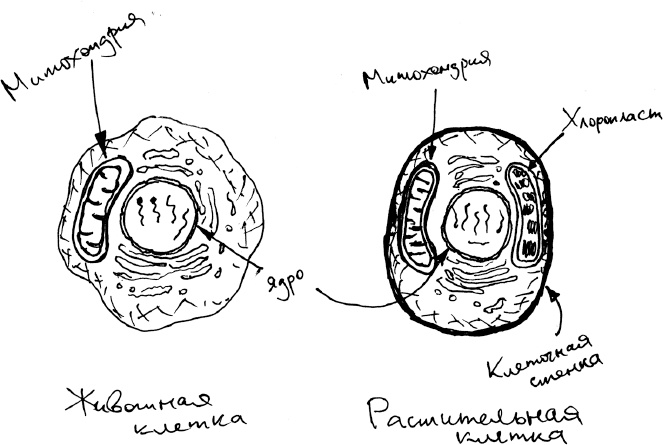 Иллюстрация к книге — Хлопок одной ладонью [i_052.jpg]