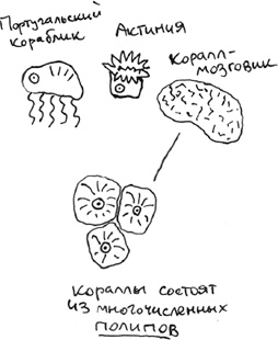 Иллюстрация к книге — Хлопок одной ладонью [i_059.jpg]