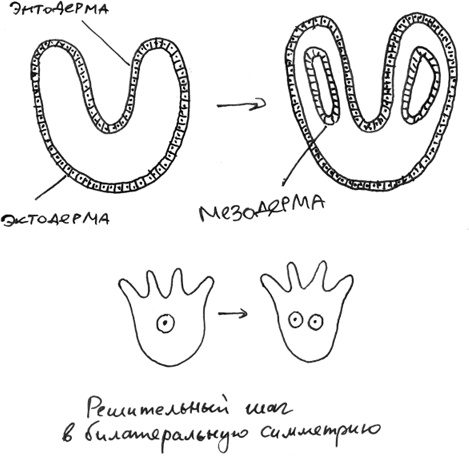Иллюстрация к книге — Хлопок одной ладонью [i_062.jpg]