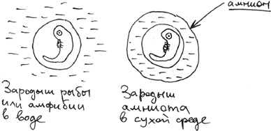 Иллюстрация к книге — Хлопок одной ладонью [i_064.jpg]