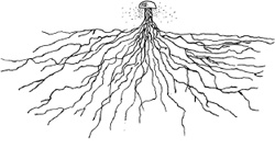 Иллюстрация к книге — Хлопок одной ладонью [i_066.jpg]