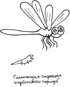 Иллюстрация к книге — Хлопок одной ладонью [i_070.jpg]