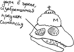 Иллюстрация к книге — Хлопок одной ладонью [i_079.jpg]