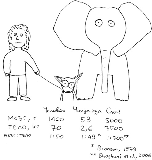 Иллюстрация к книге — Хлопок одной ладонью [i_091.jpg]